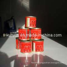 Canned Tomato Paste 70g with High Quality